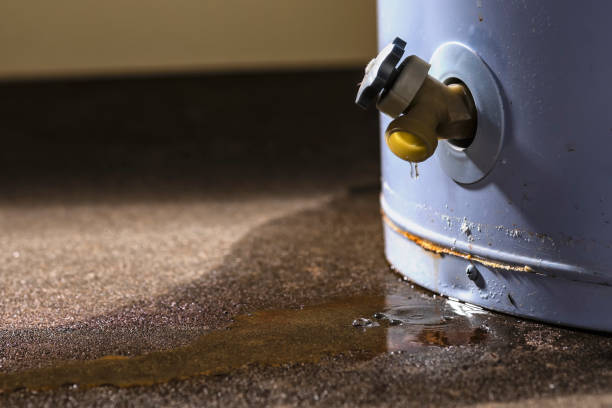 Best Flood restoration services  in Vance, AL