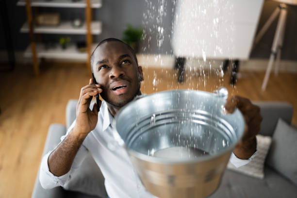 Best Local water damage restoration  in Vance, AL