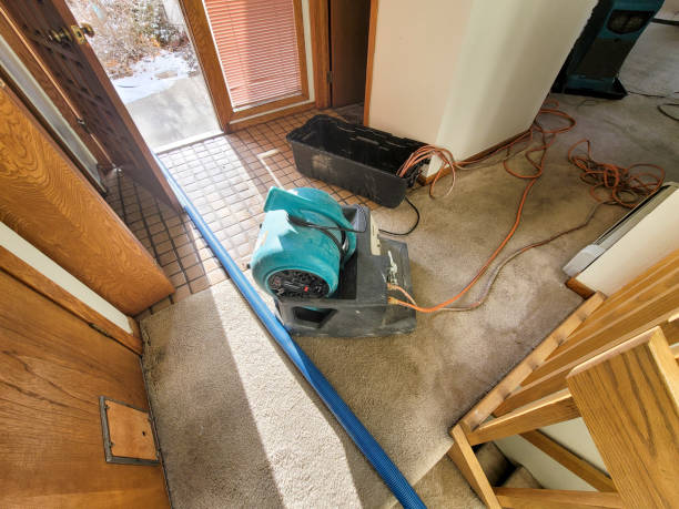 Best Carpet water damage restoration  in Vance, AL