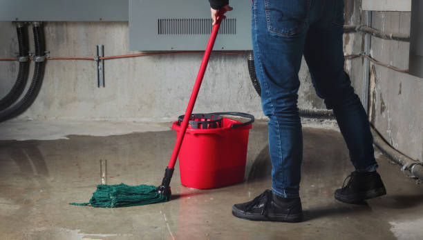 Best Flood damage cleanup  in Vance, AL