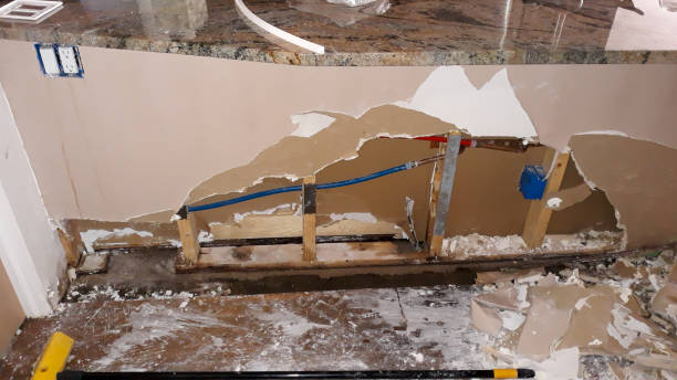 Best Ceiling water damage repair  in Vance, AL