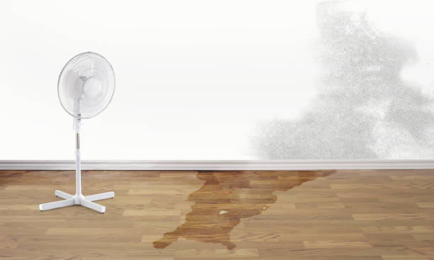 Best 24/7 water damage repair  in Vance, AL