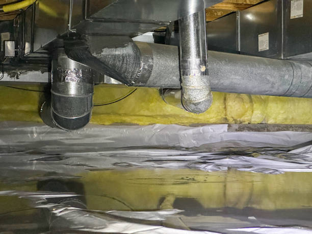 Best Water damage restoration near me  in Vance, AL