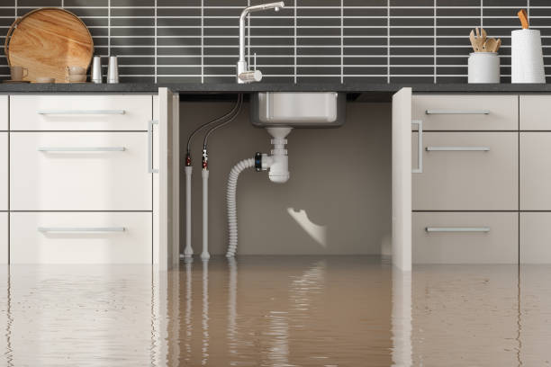 Best Emergency water damage restoration  in Vance, AL