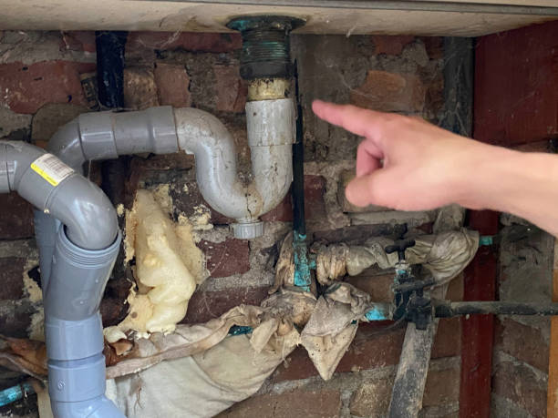 Professional Water damage restoration in AL